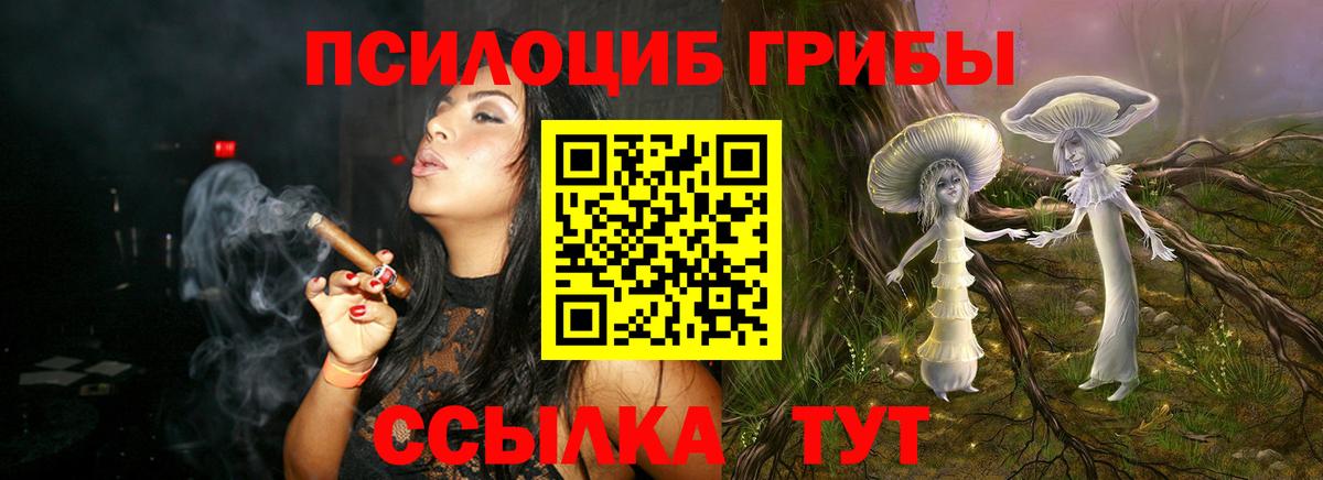 Псилоцибиновые грибы GOLDEN TEACHER Отрадный