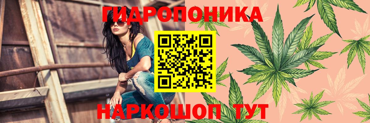 Бошки Шишки сатива  Вход с VPN  Шишки марихуана Bruce Banner  Отрадный 